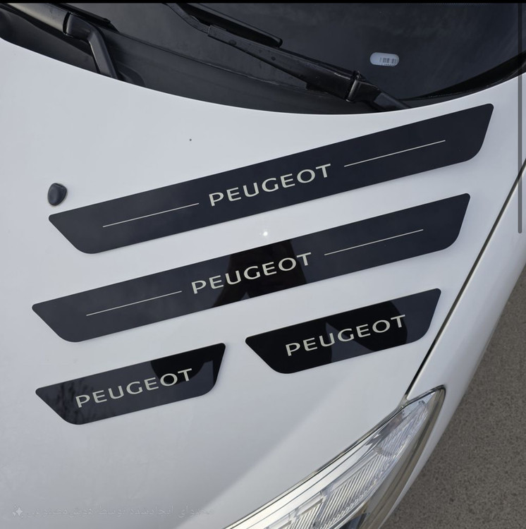 پارکابی برای ۲۰۷