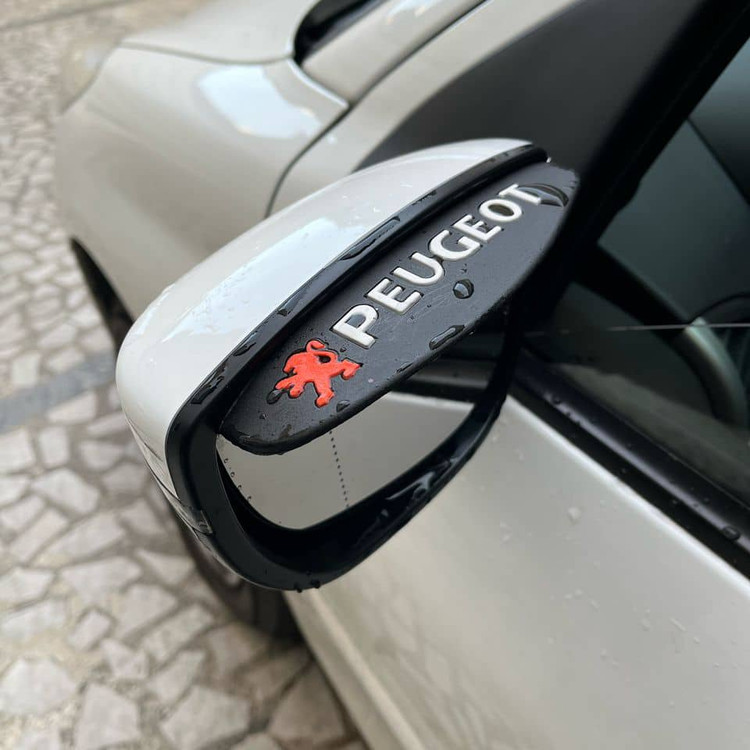 بارانگیر آینه بغل