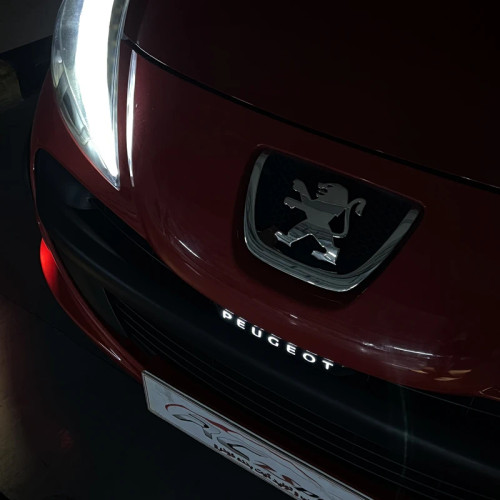 آرم چراغدار 207