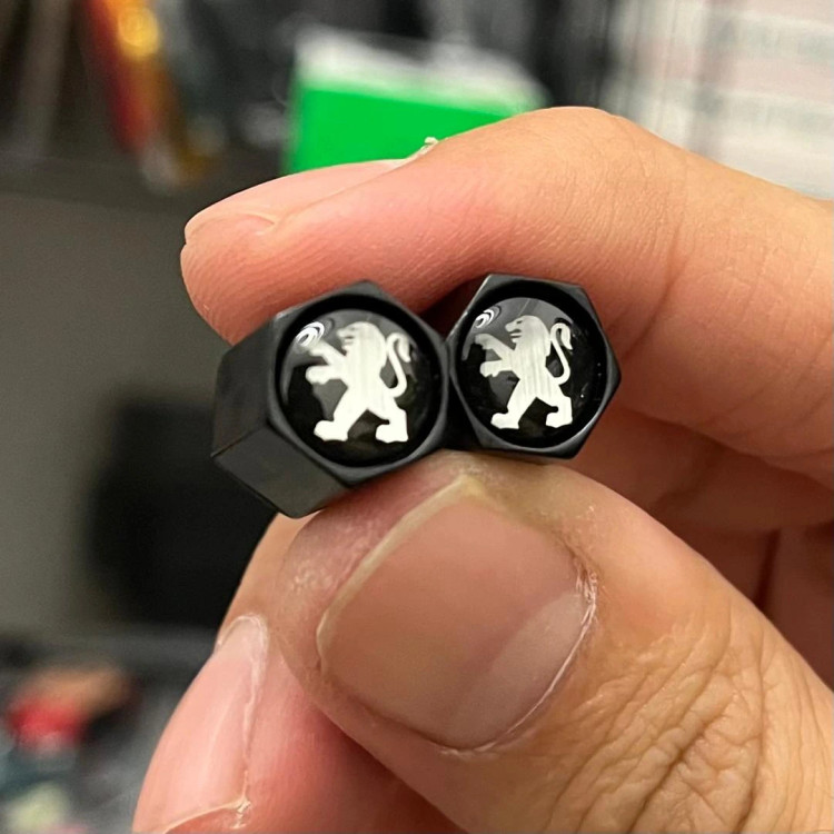 چاکلیدی پژو