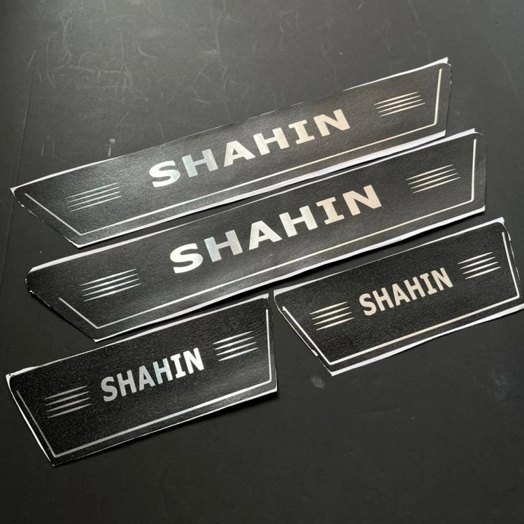 پارکابی شاهین