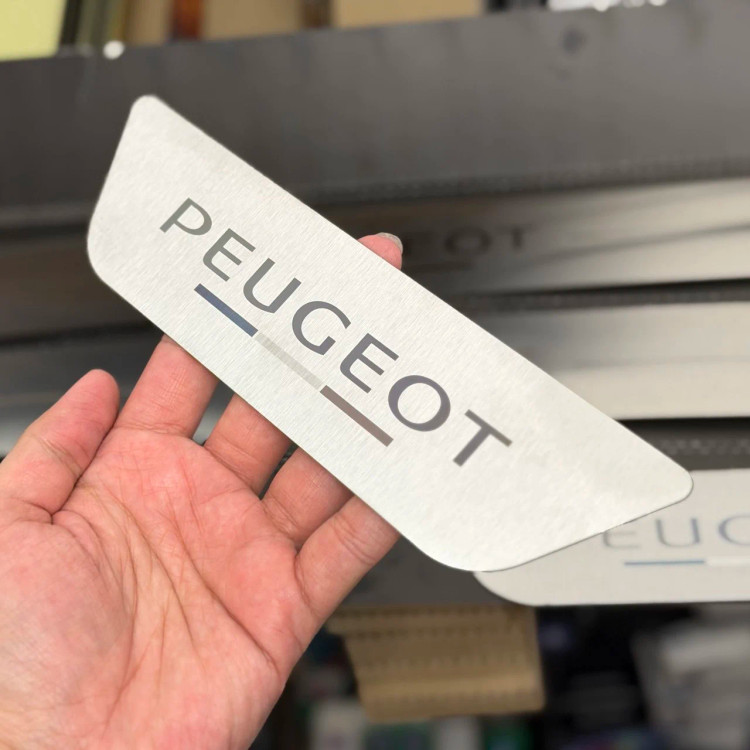 پارکابی استیل مدل پژو